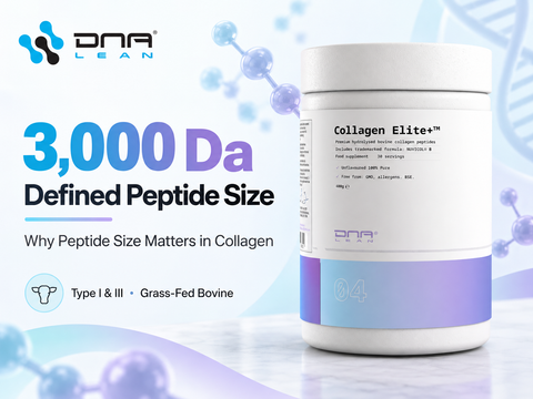Why Peptide Size Matters in Collagen - And What 3,000 Da Really Means