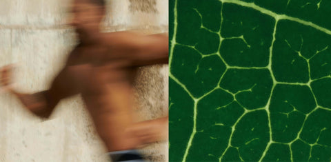 Man running, leaf effect banner
